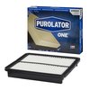 Purolator Purolator A36124 PurolatorONE Advanced Air Filter A36124